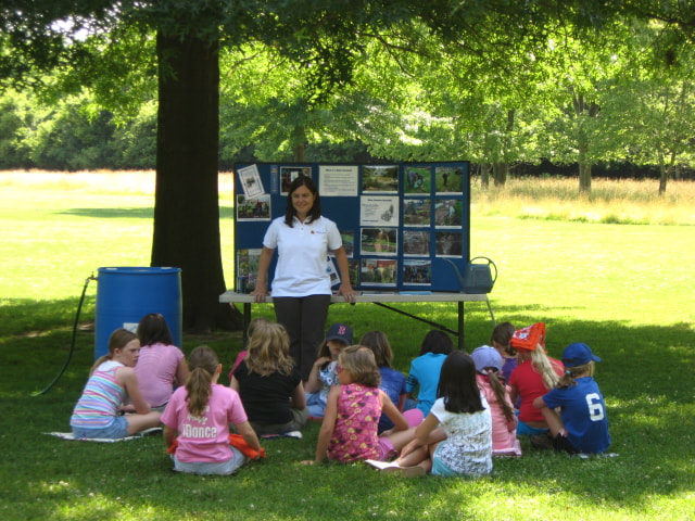 A volunteer shares information about rain gardens with a group of children at an outdoor event.