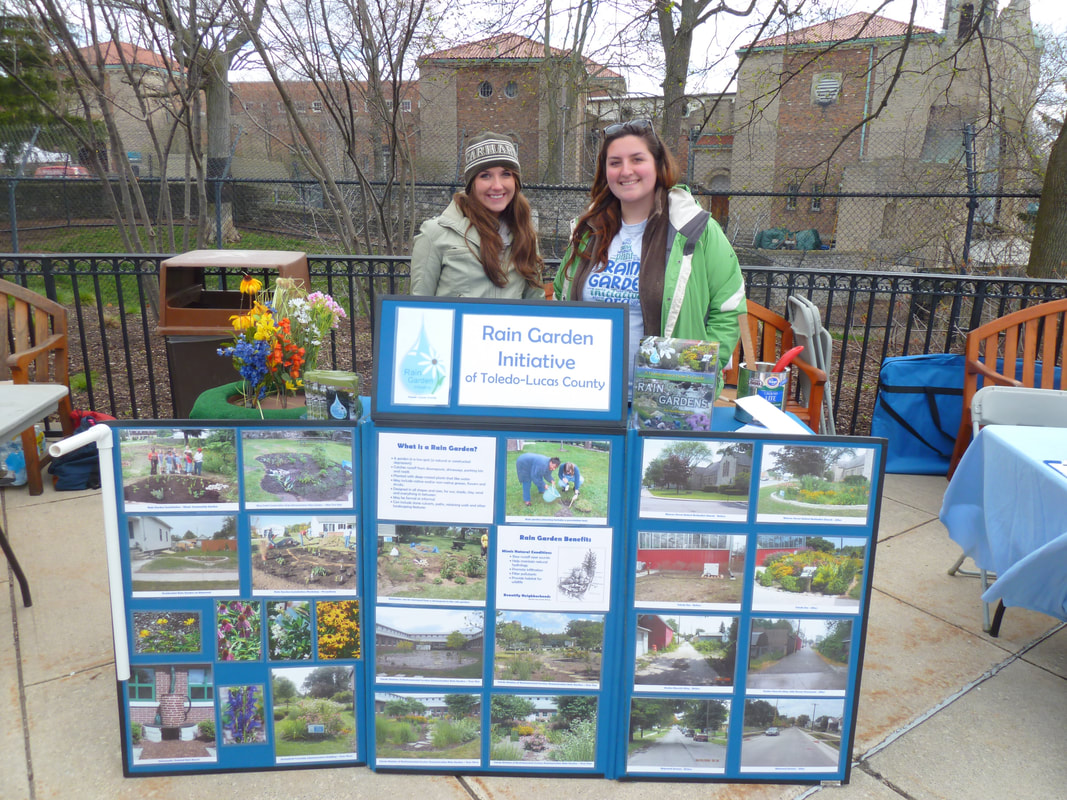 An informational display about rain gardens at a local festival.